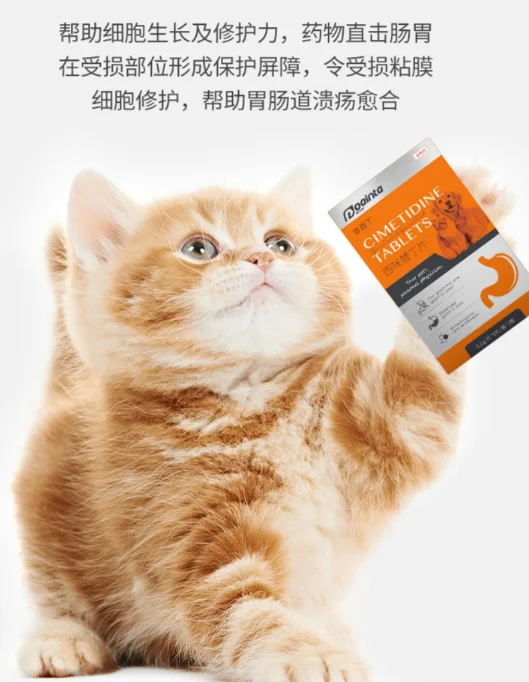 20211002482786.webp blob.webp