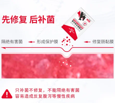 20210318919340.webp blob.webp