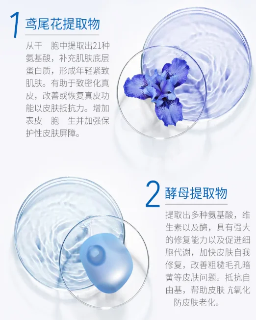 blob.webp