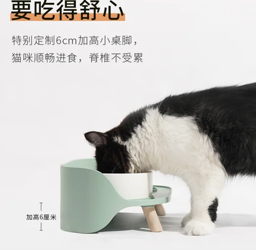 blob.webp