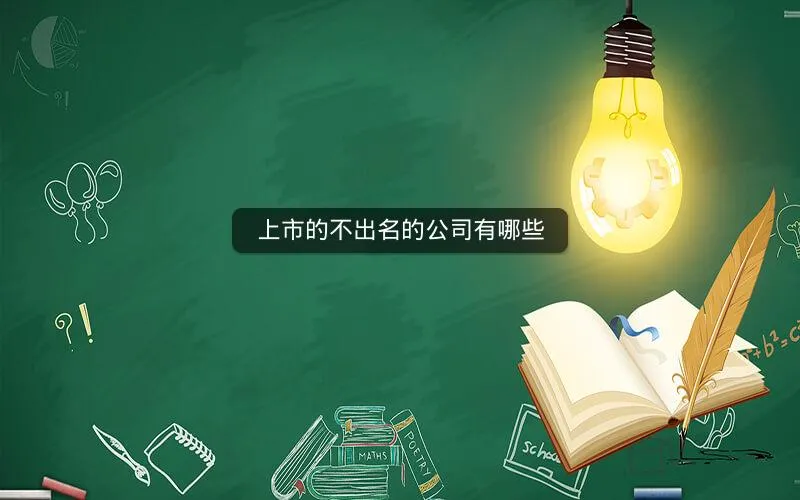 上市的不出名的公司有哪些 上市的不出名的公司有哪些