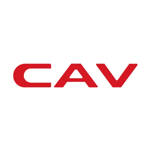 CAV 丽声
