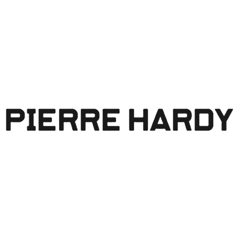 Pierre Hardy