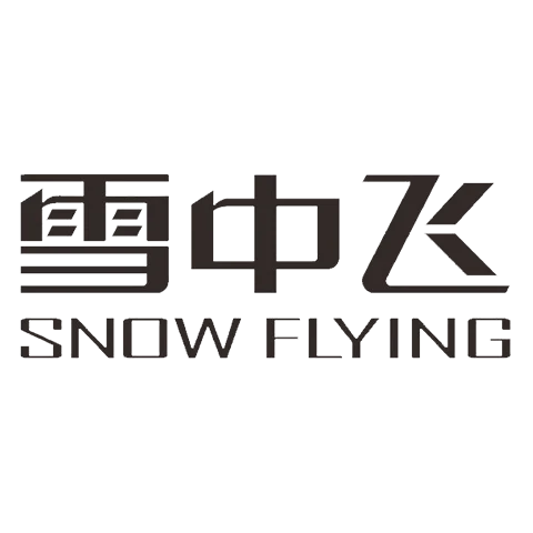 Snow Flying 雪中飞