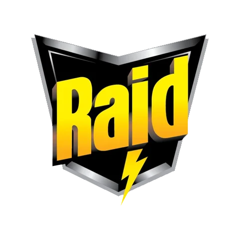 Raid 雷达