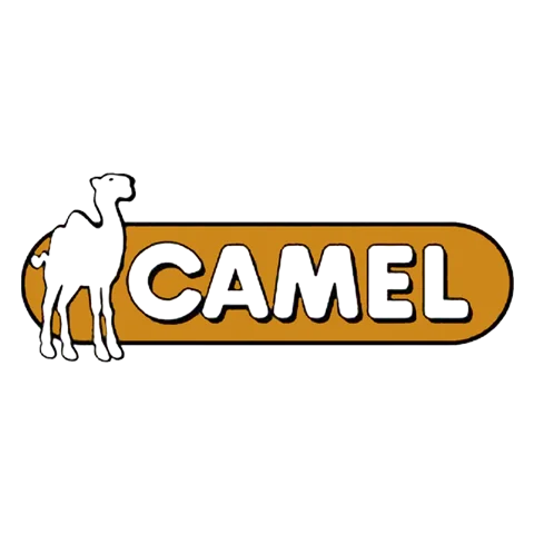 camel 骆驼