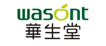 华生堂wasont