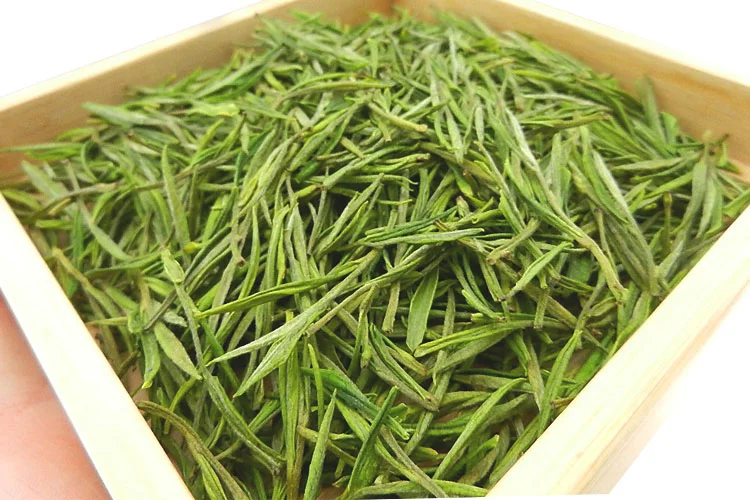 安吉白茶