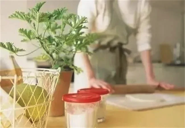 贺喜集成灶