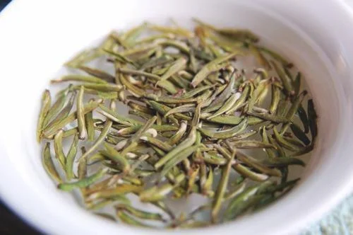 望海茶