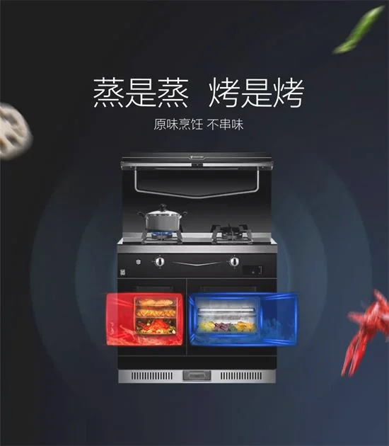 板川康情C20DZK-B蒸烤独立集成灶