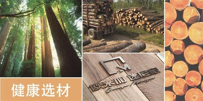 欧米加·迷尼家地板