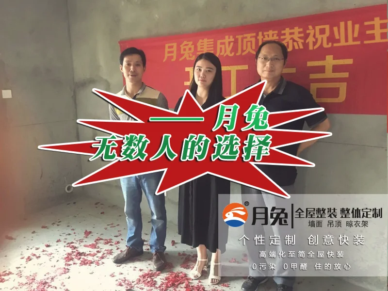 月兔集成墙面 月兔集成墙面