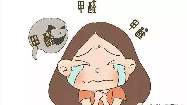 去甲醛墙布