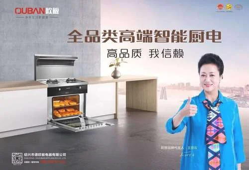 欧板集成灶